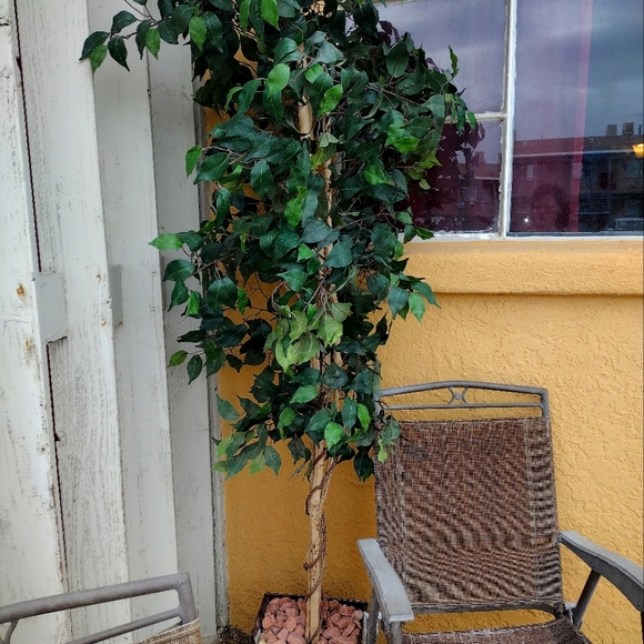 Beautiful Decor - Picture 2 of 2